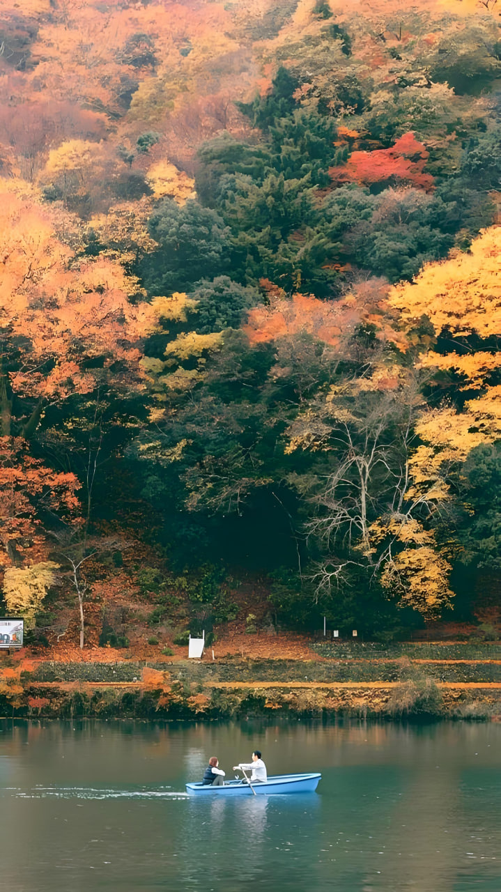 青春爱情剧